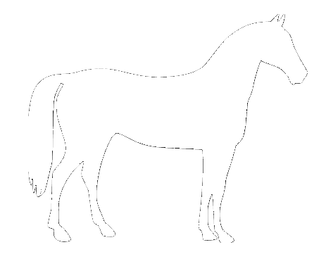 cheval-ombreWHT
